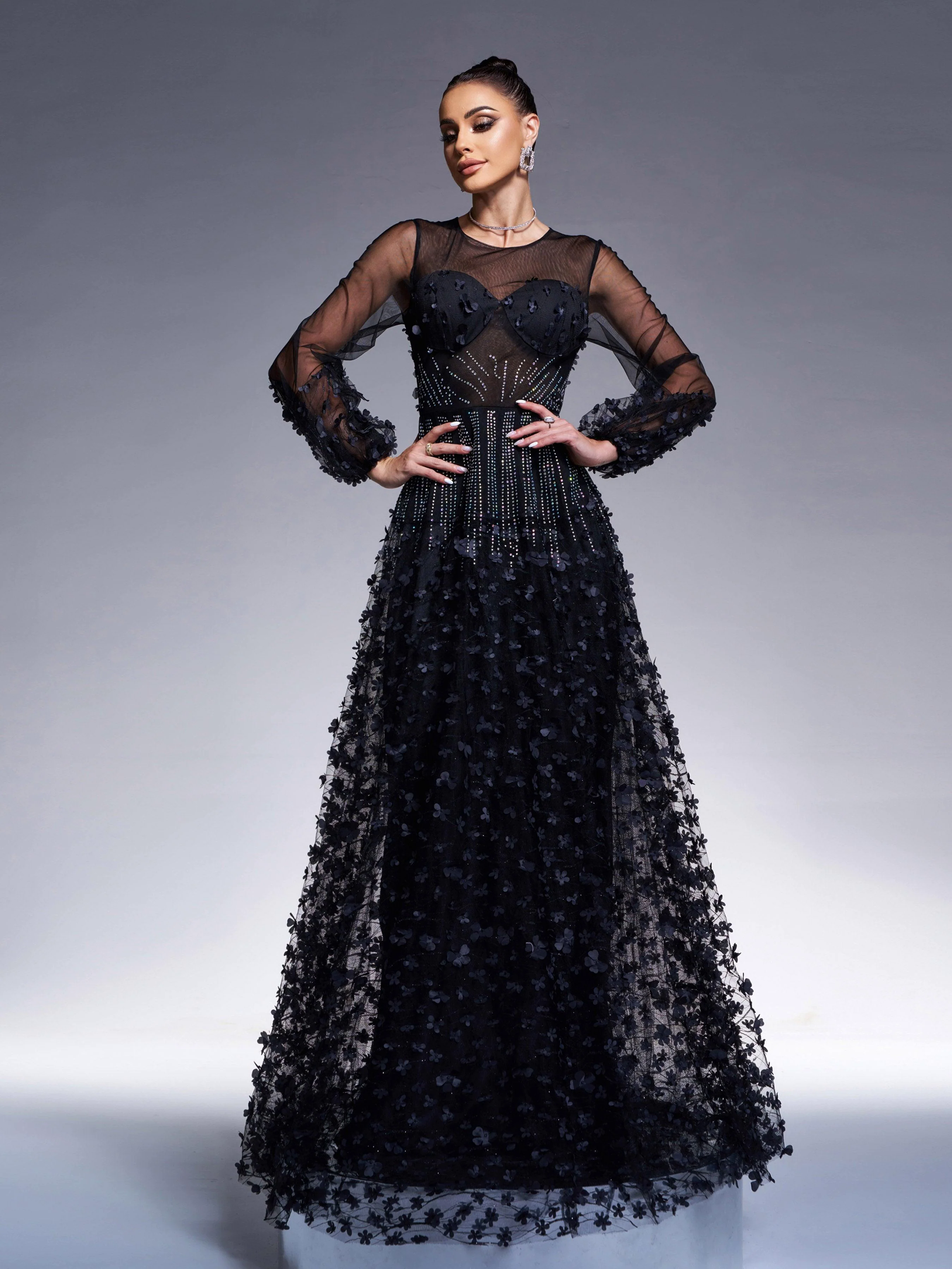 Appliqued Long Sleeve A-line Evening Dress RJ11934